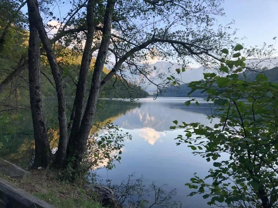 Villa Miriam Левико Терме Екстериор снимка
